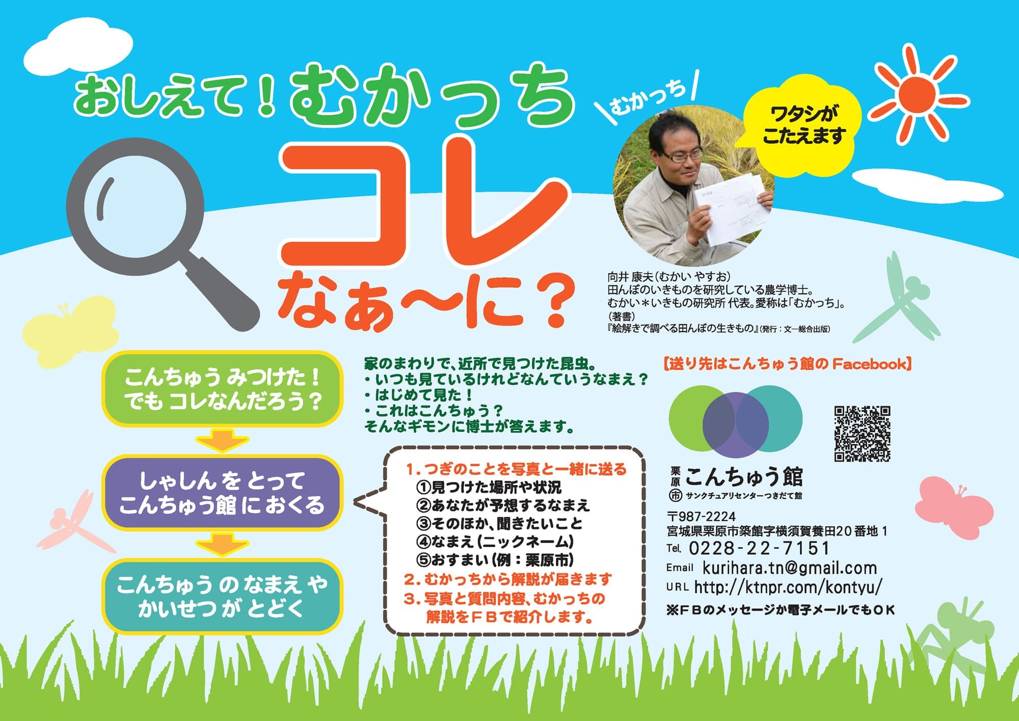 おしえて! むかっち コレ なぁ~に?