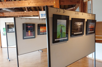 伊豆沼・内沼の自然フォトコンテスト入選作品展