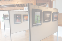 伊豆沼・内沼の自然フォトコンテスト入選作品展