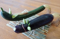 精霊馬ワークショップ