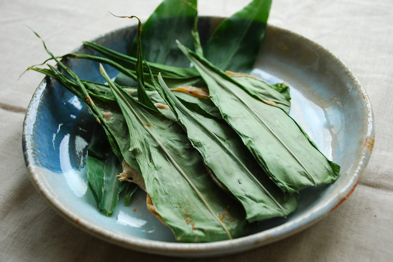 ミョウガの葉焼き