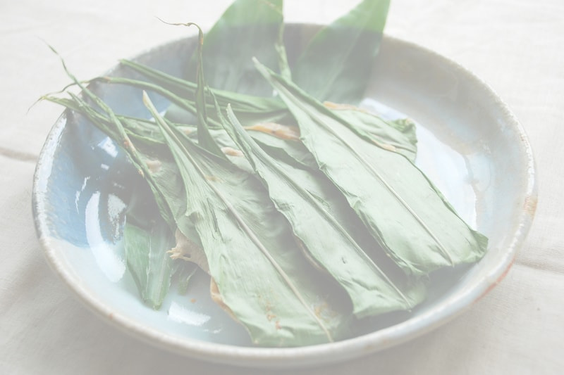 ミョウガの葉焼き