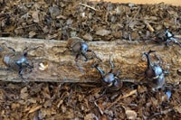 お盆は休まず開館