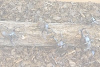 お盆は休まず開館