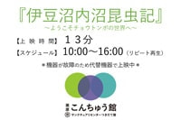 シアターの代替機器での上映