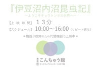 シアターの代替機器での上映