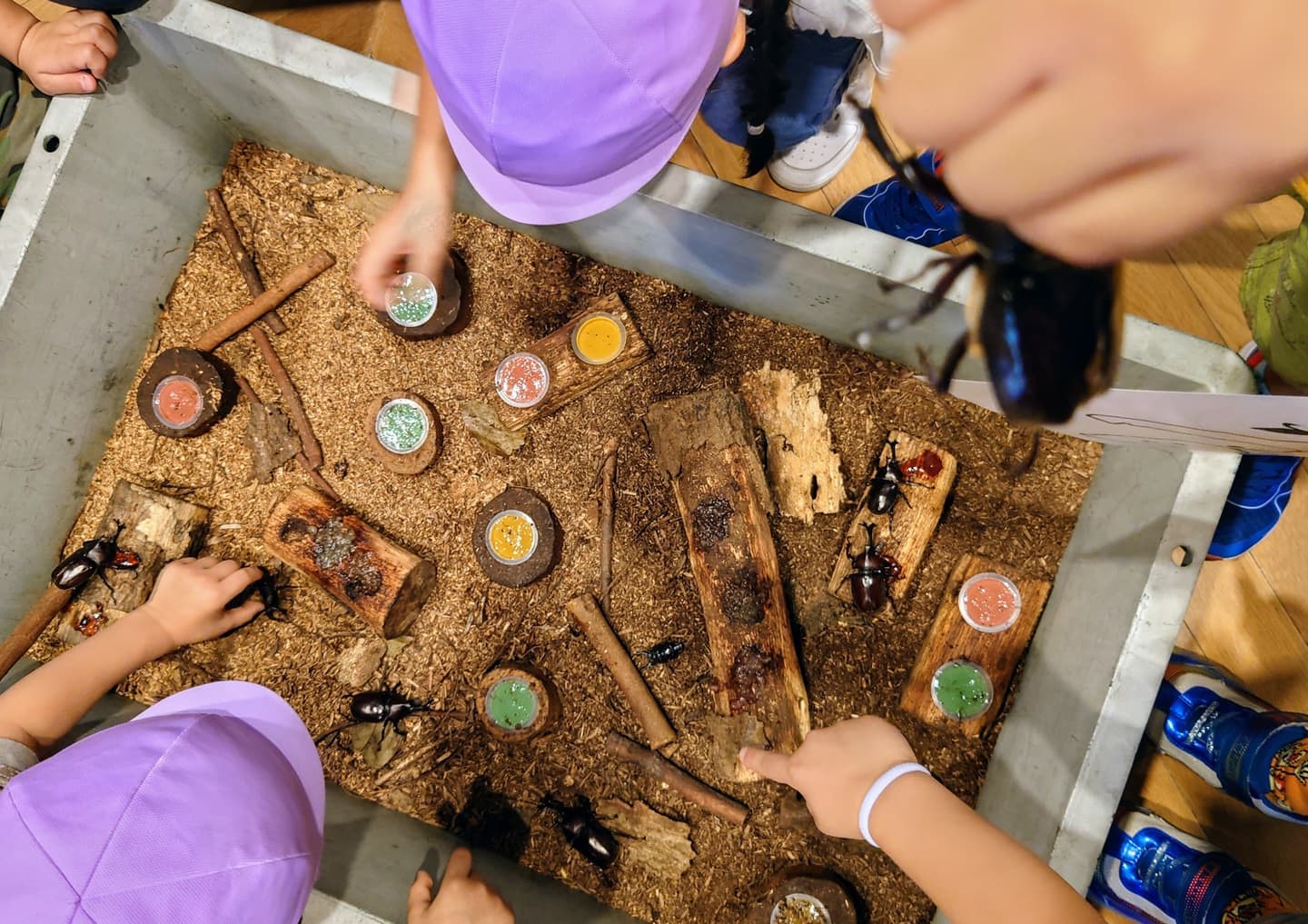 おやこでおんがくたいけん